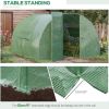 19'x9.6'x6.5' Large Walk-in Tunnel Greenhouse Garden Planting Hot House;  Green