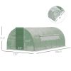 19'x9.6'x6.5' Large Walk-in Tunnel Greenhouse Garden Planting Hot House;  Green