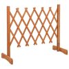 Garden Trellis Fence Orange 47.2"x23.6" Solid Firwood