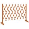 Garden Trellis Fence Orange 59.1"x31.5" Solid Firwood